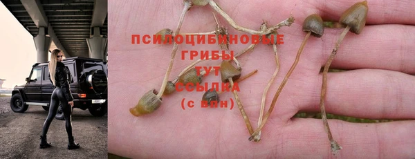стаф Фурманов