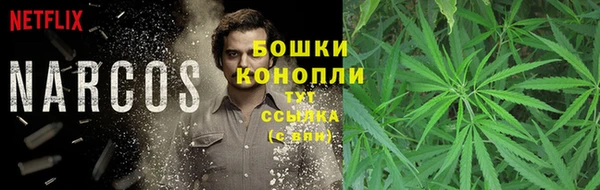 стаф Фурманов