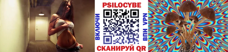 Галлюциногенные грибы Cubensis Набережные Челны